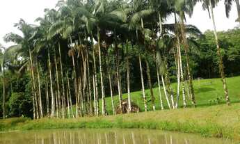 Imagem 4: Chácara (pequeno sítio) com 22.344m² na Sesmaria em Morretes/PR -DOCUMENTADA