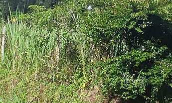 Imagem: Terreno multifuncional Seu Lar e Seu Negócio