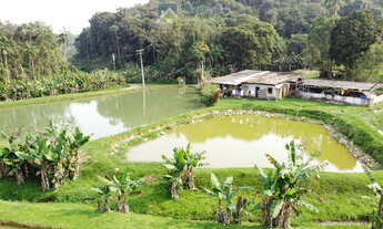 Imagem 4: Chácara à venda no bairro CAPITUVA - Morretes/PR