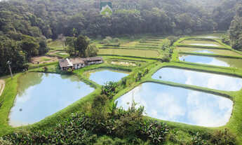 Imagem 1: Chácara à venda no bairro CAPITUVA - Morretes/PR