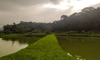 Imagem 6: Chácara à venda no bairro CAPITUVA - Morretes/PR
