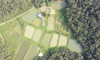 Imagem 3: Chácara à venda no bairro CAPITUVA - Morretes/PR