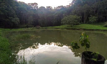 Imagem 7: Chácara à venda no bairro CAPITUVA - Morretes/PR
