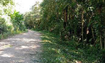 Imagem: Área à venda no bairro CAPITUVA - Morretes/PR
