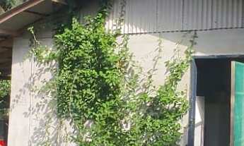 Imagem: Casa Alvenaria em Barreiros, Morretes/PR