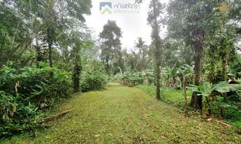 Imagem 7: Chácara à venda no bairro Vila das Palmeiras - Morretes/PR