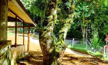 Imagem 5: Chácara com chalé em alvenaria em fase de acabamento em Morretes, 924 metros de terreno