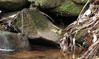 Imagem 4: Chácara com chalé em alvenaria em fase de acabamento em Morretes, 924 metros de terreno