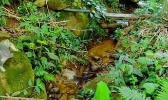 Imagem 6: Chácara com chalé em alvenaria em fase de acabamento em Morretes, 924 metros de terreno