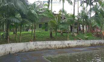 Imagem 5: Chácara no Sambaqui em Morretes