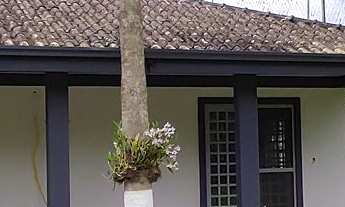 Imagem: Chácara para locação mensal em Morretes