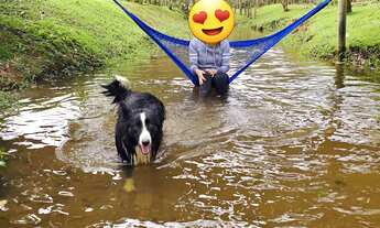 Imagem 7: Chácara com 25.000m² com rio e lagoa com peixes, chalé e casa principal em Morretes, PR