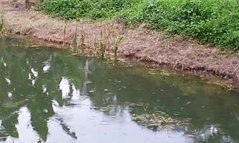 Imagem 4: Seu Paraíso Particular em Paranaguá: Chácara com Múltiplas Possibilidades