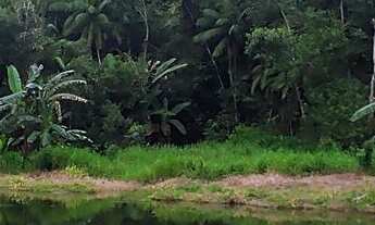 Imagem 3: Seu Paraíso Particular em Paranaguá: Chácara com Múltiplas Possibilidades