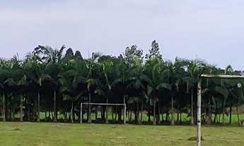 Imagem 5: Seu Paraíso Particular em Paranaguá: Chácara com Múltiplas Possibilidades