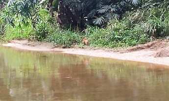 Imagem 2: Seu Paraíso Particular em Paranaguá: Chácara com Múltiplas Possibilidades