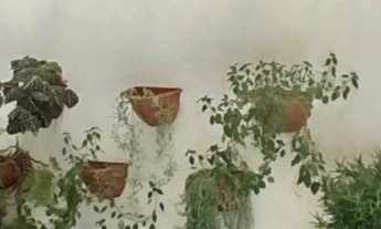 Imagem 3: Chácara em Central, Morretes/PR