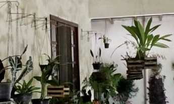 Imagem 2: Chácara em Central, Morretes/PR