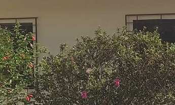 Imagem: Casa Alvenaria em Barro Branco, Morretes/PR