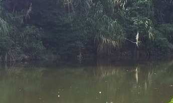 Imagem: Área à venda no bairro Santa Fé - Morretes/PR