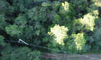 Imagem 7: Área Rural Documentada com 150.480 m² (15hec) em Meio à Natureza! Estrada de fácil acesso