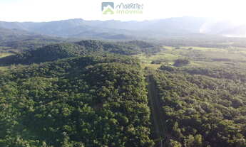 Imagem 2: Área Rural Documentada com 150.480 m² (15hec) em Meio à Natureza! Estrada de fácil acesso