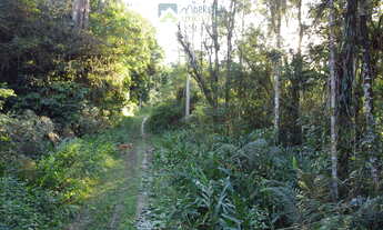 Imagem 4: Área Rural Documentada com 150.480 m² (15hec) em Meio à Natureza! Estrada de fácil acesso