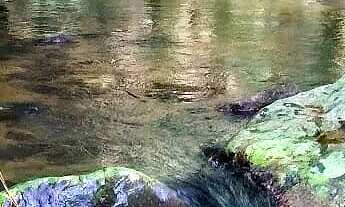 Imagem 4: Chácara no Rio Sagrado, 3.733m² frente do asfalto com divisa p/ Rio Sagrado em Morretes