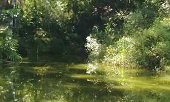 Imagem 6: Rancho à venda no bairro Seis Maria - Morretes/PR, Urbana