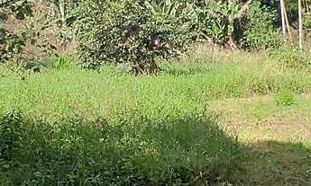 Imagem 3: Chácara à venda no bairro Vila das Palmeiras - Morretes/PR