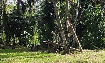 Imagem 7: Chácara à venda no bairro Vila das Palmeiras - Morretes/PR