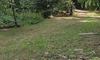 Imagem 6: Chácara à venda no bairro Vila das Palmeiras - Morretes/PR