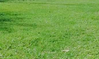 Imagem: Casa à venda em Morretes/PR