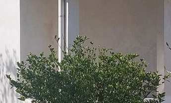 Imagem: Casa à venda em Morretes/PR