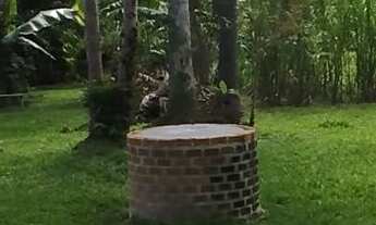 Imagem 4: Chácara em Raia Velha, Morretes/PR