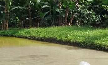 Imagem 2: Chácara em Raia Velha, Morretes/PR