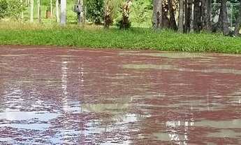 Imagem 3: Chácara em Raia Velha, Morretes/PR