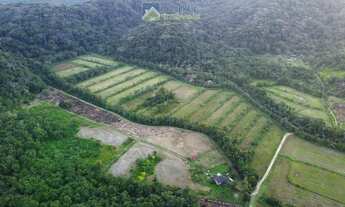 Imagem: Sítio 14 Alqueires em Itaqui Atividade