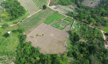 Imagem 4: Fazenda em Bonfim, Valença/BA