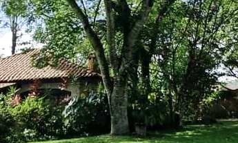 Imagem 3: Chácara com 6.470 m2 de terreno plano