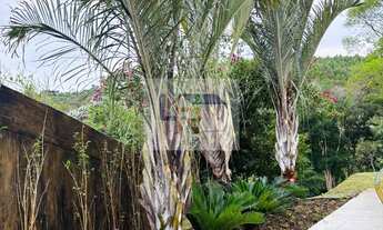 Imagem 5: CHÁCARA À VENDA EM BIRITIBA MIRIM – OPORTUNIDADE IMPERDÍVEL