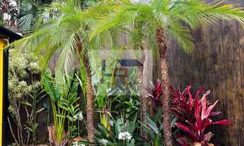 Imagem 4: CHÁCARA À VENDA EM BIRITIBA MIRIM – OPORTUNIDADE IMPERDÍVEL