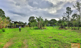 Imagem 4: Área a venda com 4.100m2 no coração do bairro Campeche