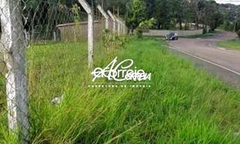 Imagem 2: Area excelente próxima a Chacara Santána Campo Magro