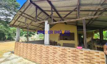 Imagem 2: VENDA DE SÍTIO NO AMPARO PARA MORADIA OU INVESTIMENTO - PROPRIEDADE DE TERRA FÉRTIL E MUIT