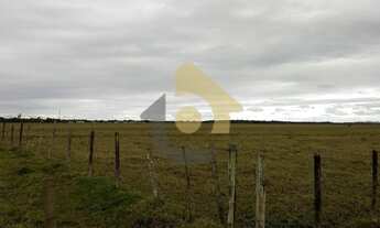 Imagem: Sitio com 7 alqueires