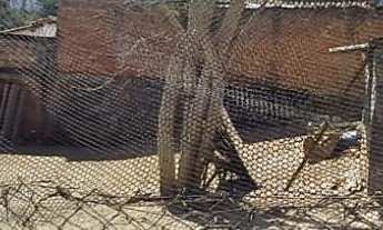 Imagem 5: ????Terreno à Venda no Bairro Várzea – 350m²