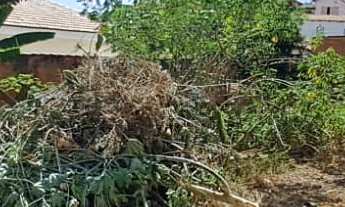 Imagem: Terreno à Venda no Bairro Várzea  350m²