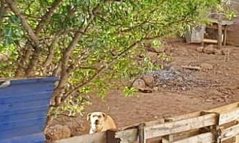 Imagem 7: Casa de esquina à venda no Alto da Bela Vista em Patos de Minas – 3 quartos e terreno extr