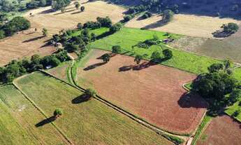Imagem: Propriedade rural em Guimarânia-MG 